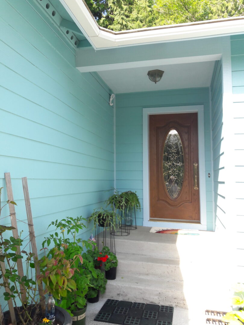 A door way with plants and flowers in front of it.