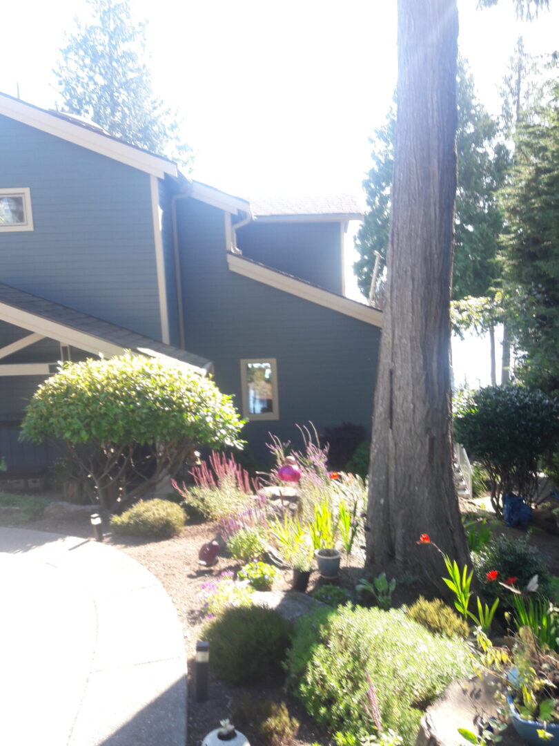 A house with a garden and trees in the background